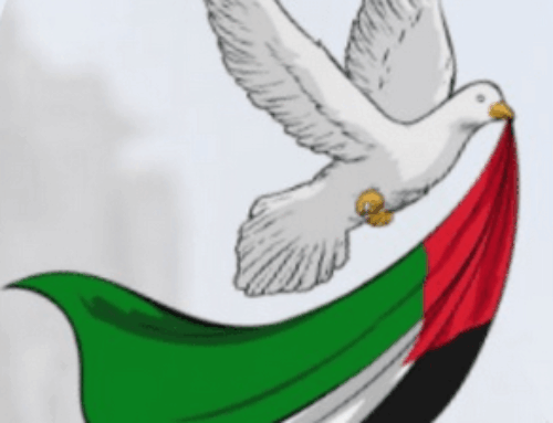 Pour Gaza, pour un cessez-le-feu, pour la reconnaissance du droit international